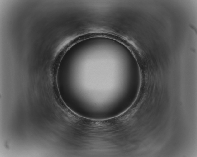 X0000096401311200801311342