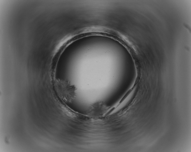 X0000096401312200801311342
