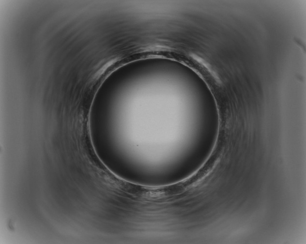 X0000096401313200801311342