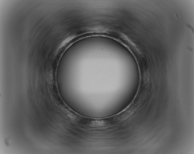 X0000096401315200801311342