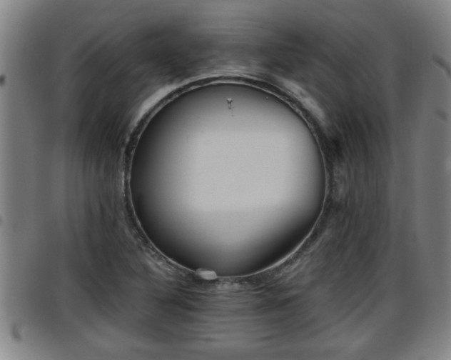 X0000096401316200801311342