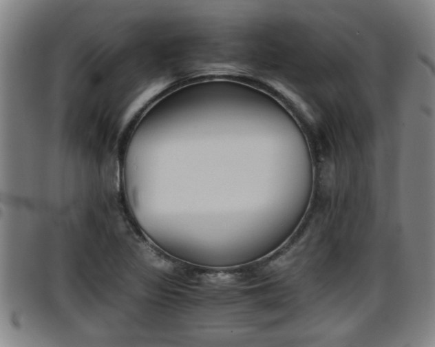 X0000096401317200801311342