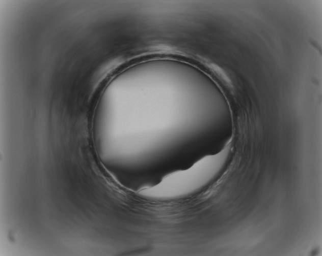 X0000096401318200801311342