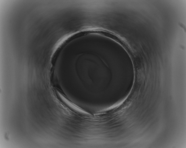 X0000096401319200801311342