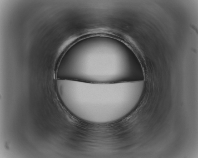 X0000096401320200801311342