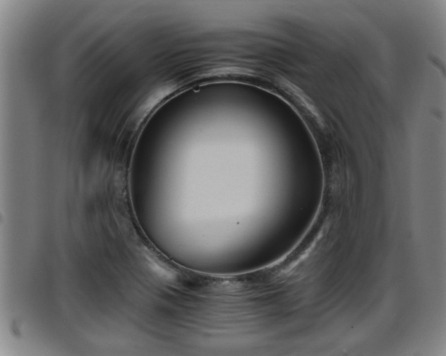 X0000096401321200801311342