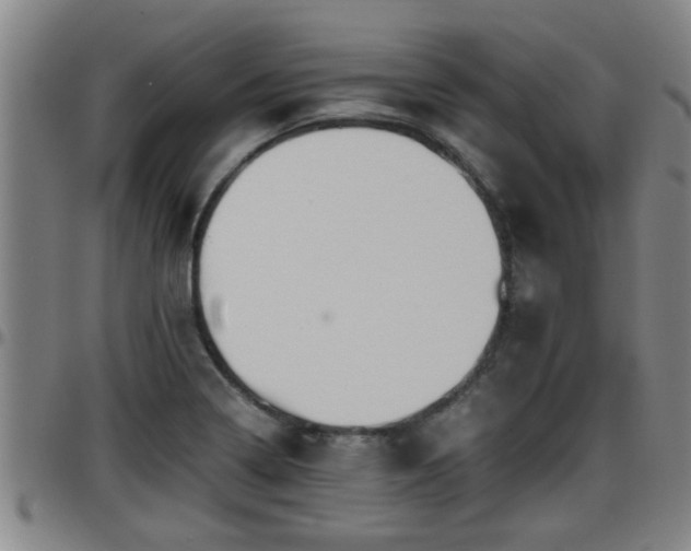 X0000096401322200801311342