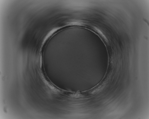 X0000096401323200801311342