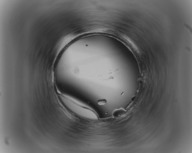 X0000096401324200801311342