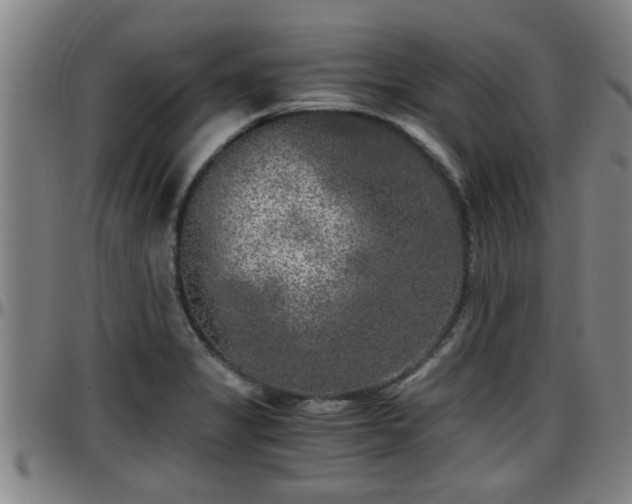 X0000096401325200801311342