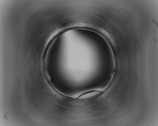 X0000096401326200801311342