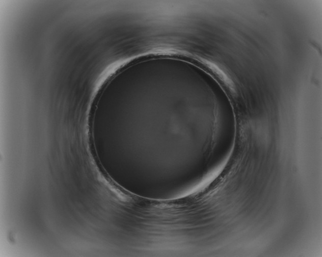 X0000096401327200801311342