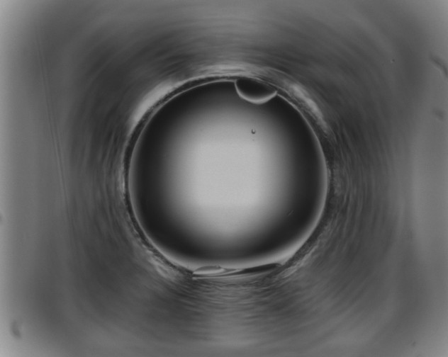 X0000096401328200801311342