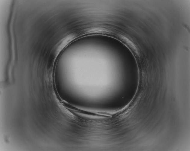 X0000096401330200801311342