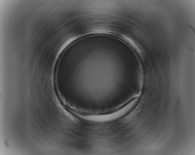 X0000096401331200801311342