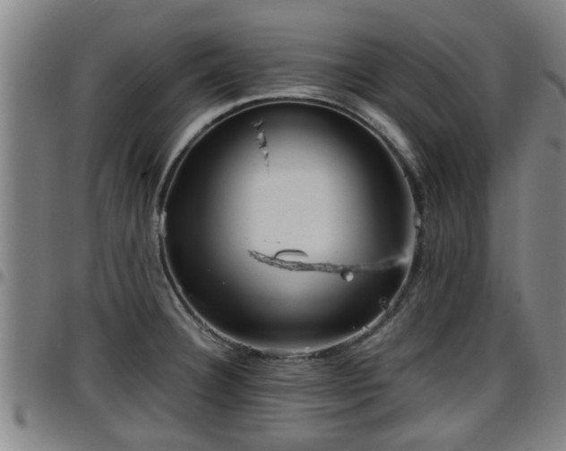 X0000096401332200801311342