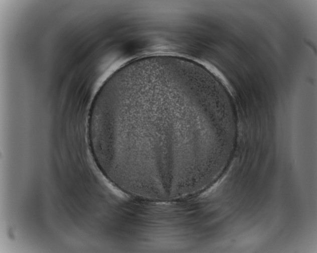 X0000096401333200801311342