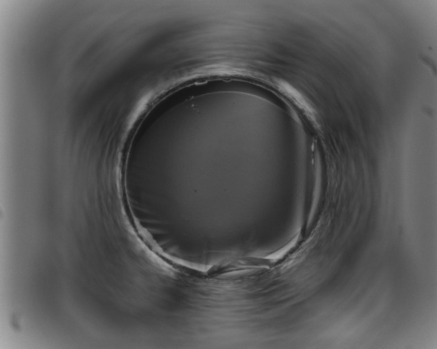 X0000096401334200801311342