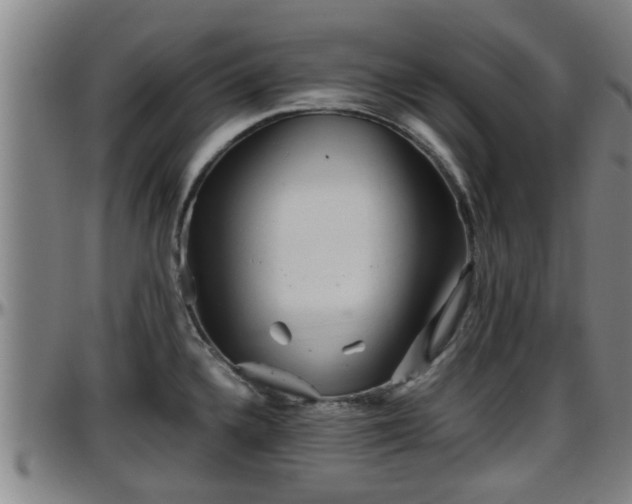 X0000096401336200801311342