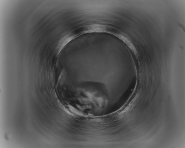 X0000096401337200801311342