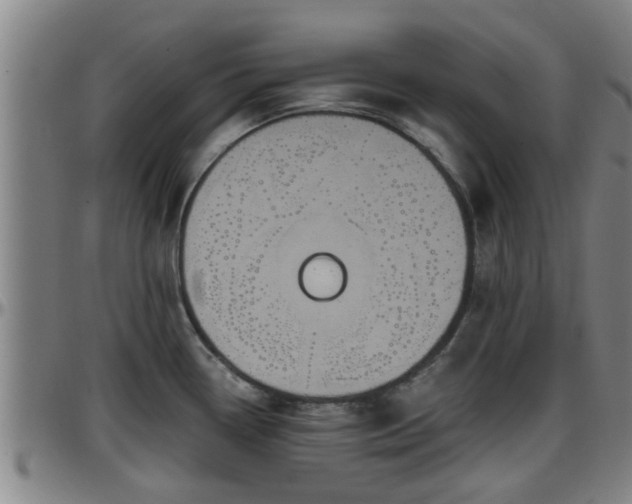 X0000096401338200801311342