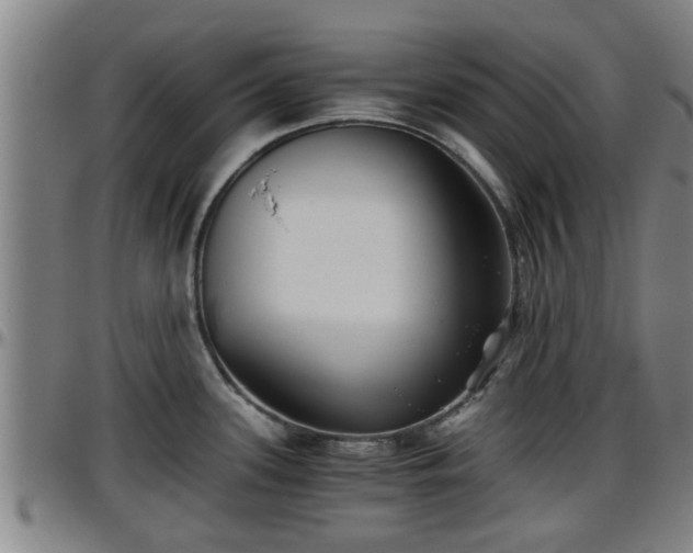 X0000096401339200801311342