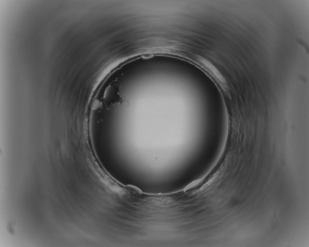 X0000096401340200801311342