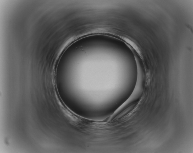 X0000096401342200801311342