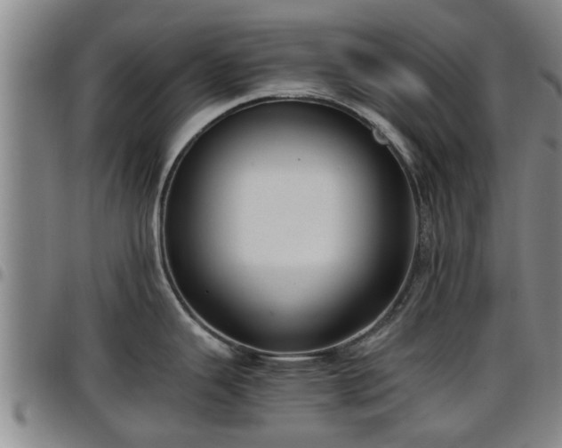 X0000096401343200801311342