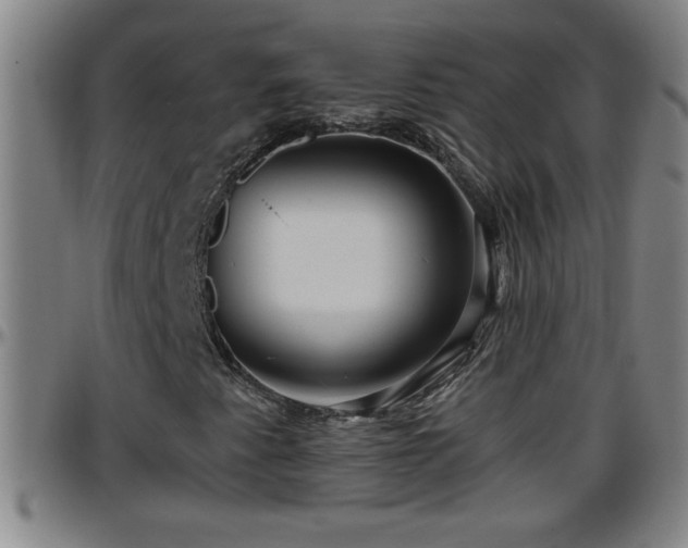 X0000096401345200801311341