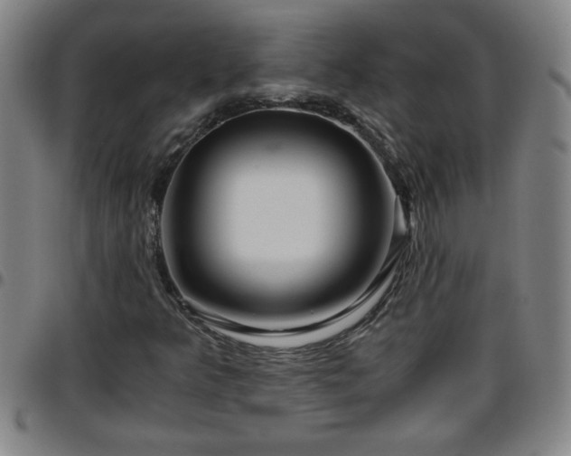 X0000096401349200801311341