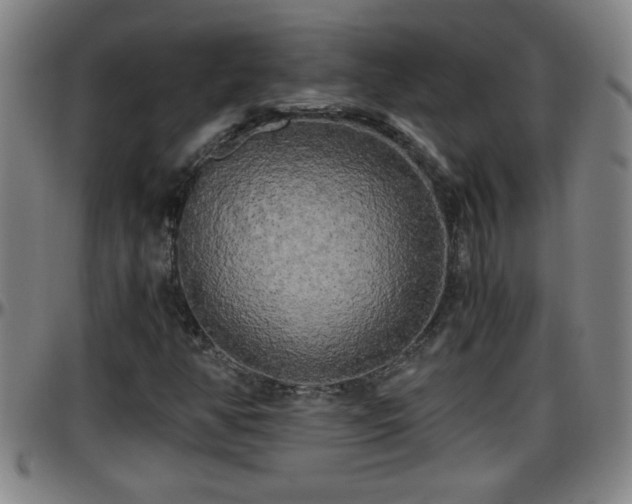 X0000096401350200801311341