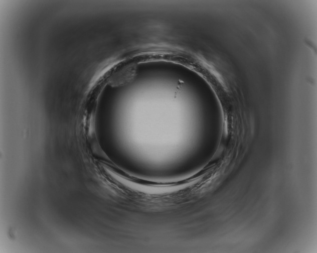 X0000096401352200801311341