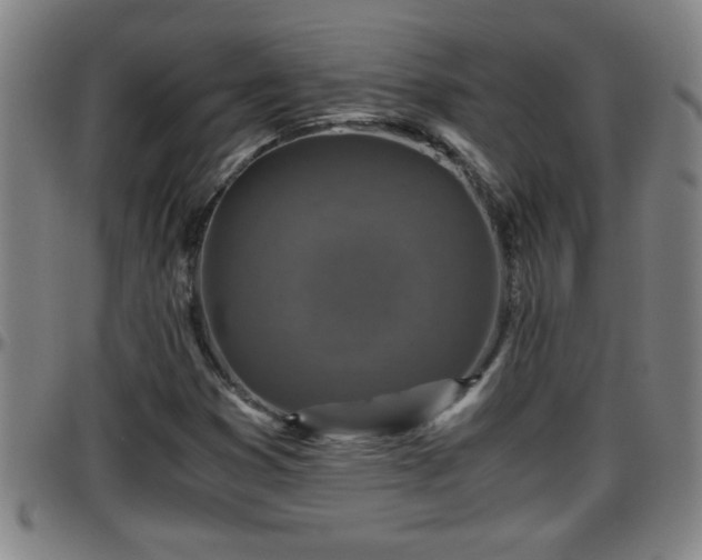 X0000096401353200801311341