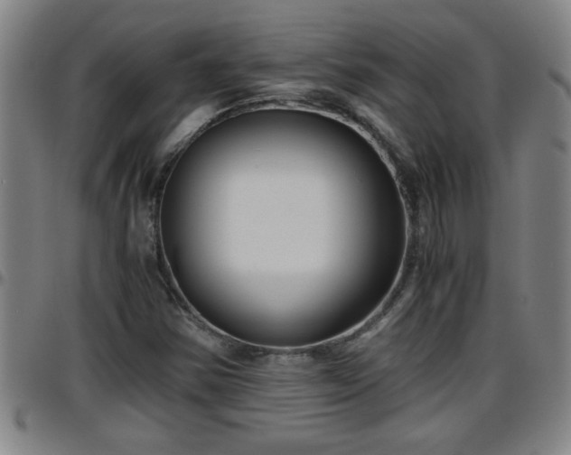 X0000096401354200801311341