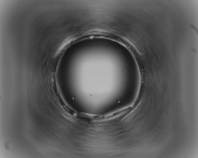 X0000096401355200801311341