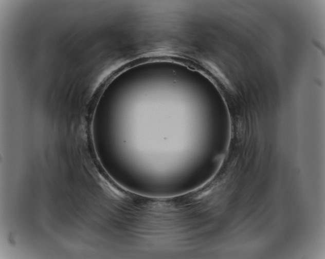 X0000096401356200801311341