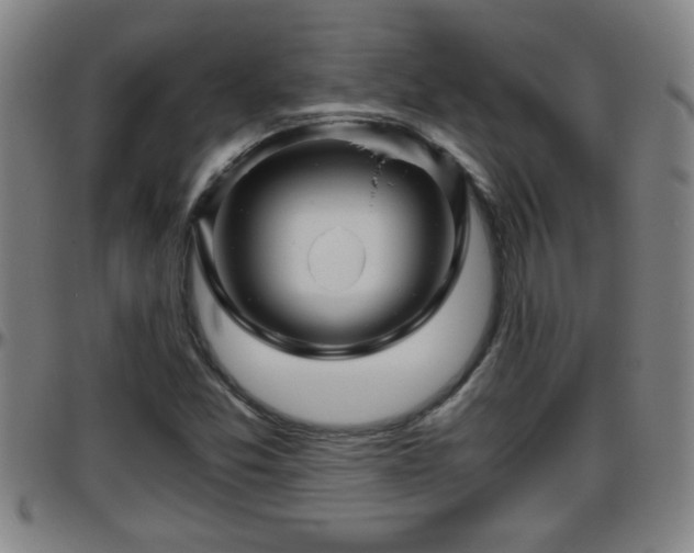 X0000096401357200801311341