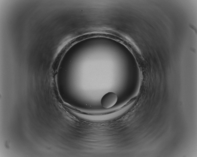 X0000096401360200801311341