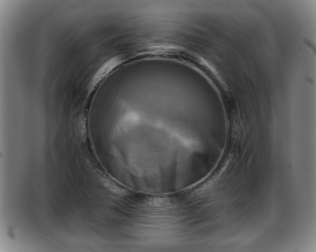 X0000096401362200801311341