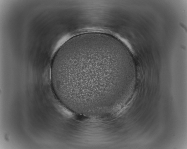 X0000096401365200801311341