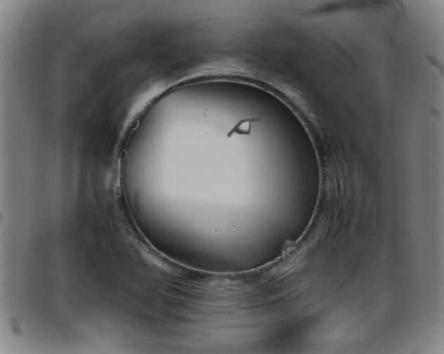 X0000096401366200801311341