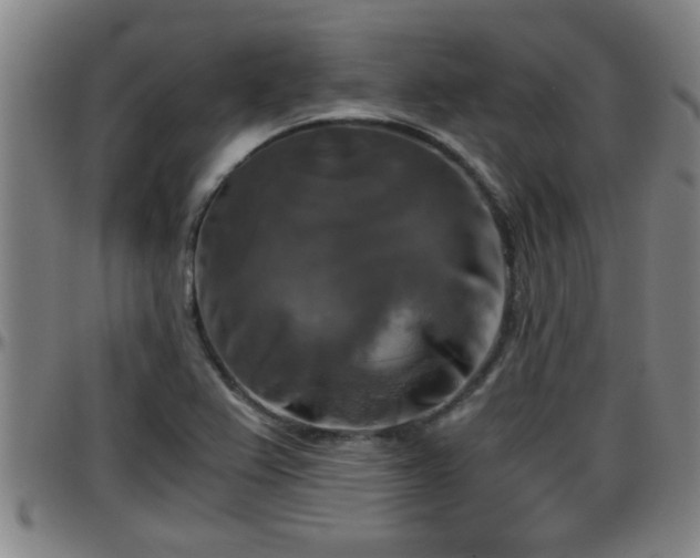 X0000096401367200801311341