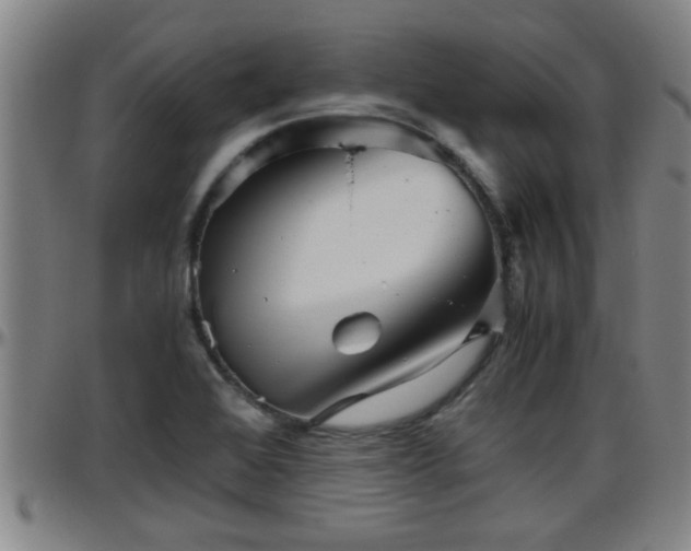 X0000096401368200801311341