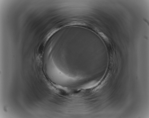 X0000096401369200801311341