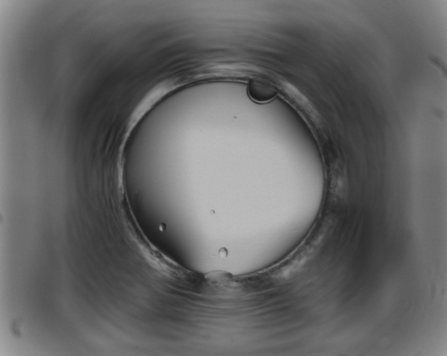 X0000096401370200801311341