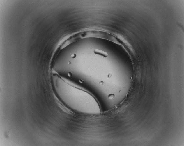 X0000096401372200801311341