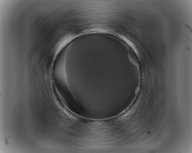 X0000096401373200801311341