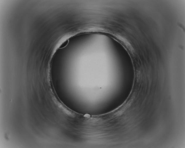 X0000096401374200801311341