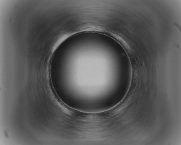 X0000096401375200801311341